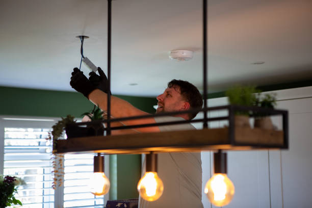 Best Electric Panel Repair  in Mansfield, TX